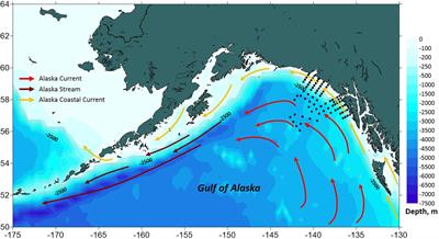 Doliolid (Tunicata, Thaliacea) Blooms in the Southeastern Gulf of Alaska as a Result of the Recent Marine Heat Wave of 2014–2016